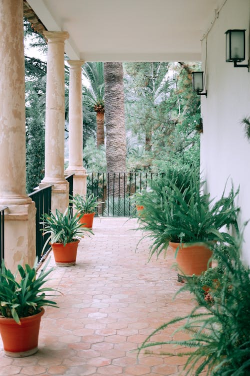 Cozy terrace with columns and assorted potted exotic plants