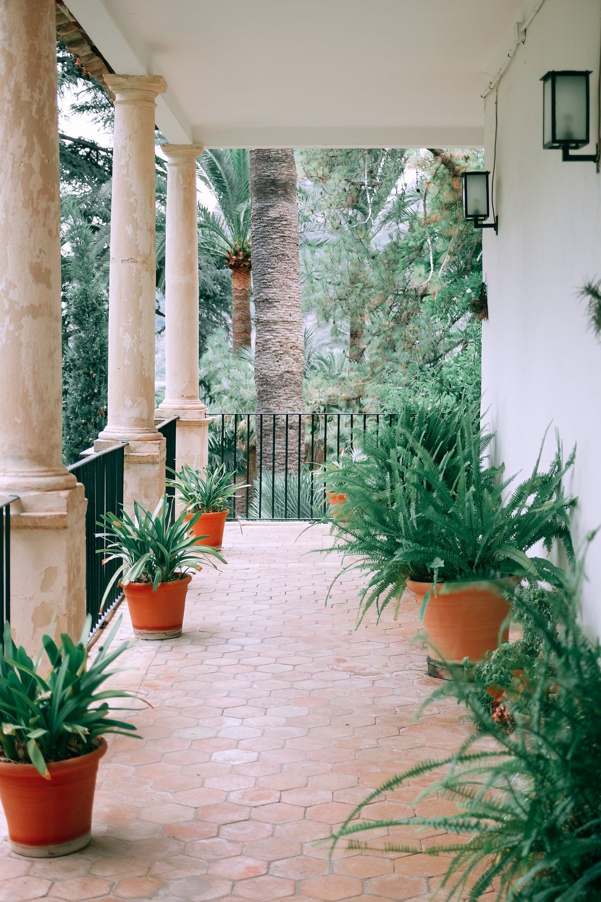 Patio méditerranéen lumineux avec plantes en pots