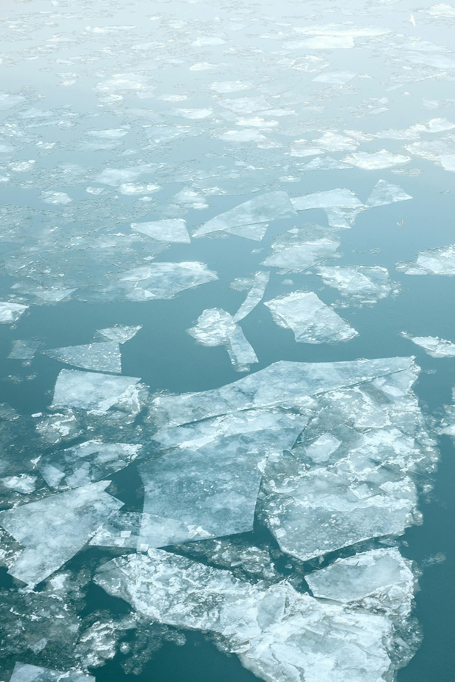 南北極同時出現罕見高溫 科學家驚「不可能發生的事發生了」