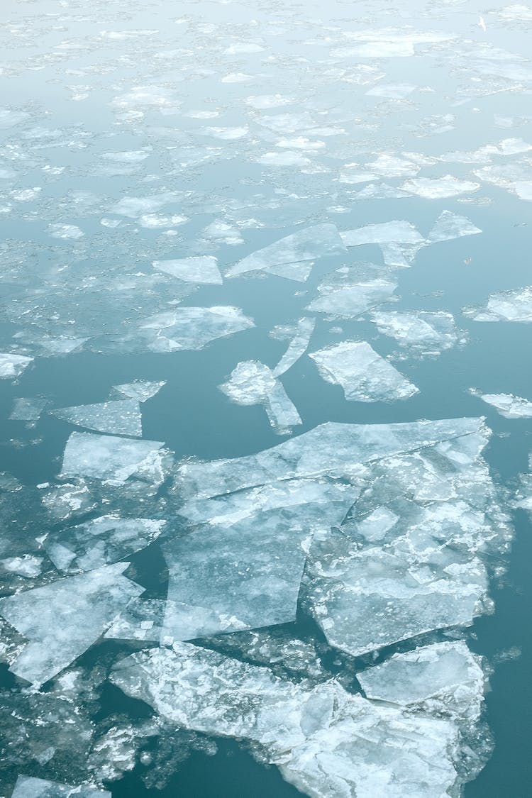 Large Ice Pieces Floating In Ocean Water