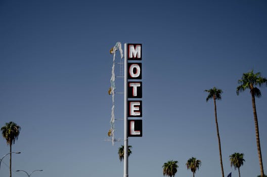 Low angle of motel signboard on metal pillar located at roadside near tall palms against cloudless blue sky