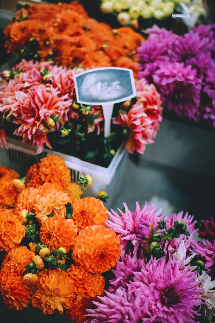 Bouquet de dahlias orange dans un vase en verre