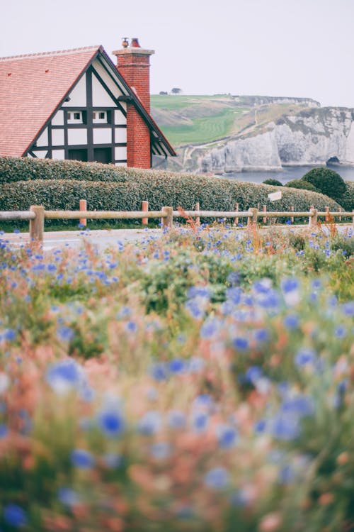 Flowers growing against cottage in countryside