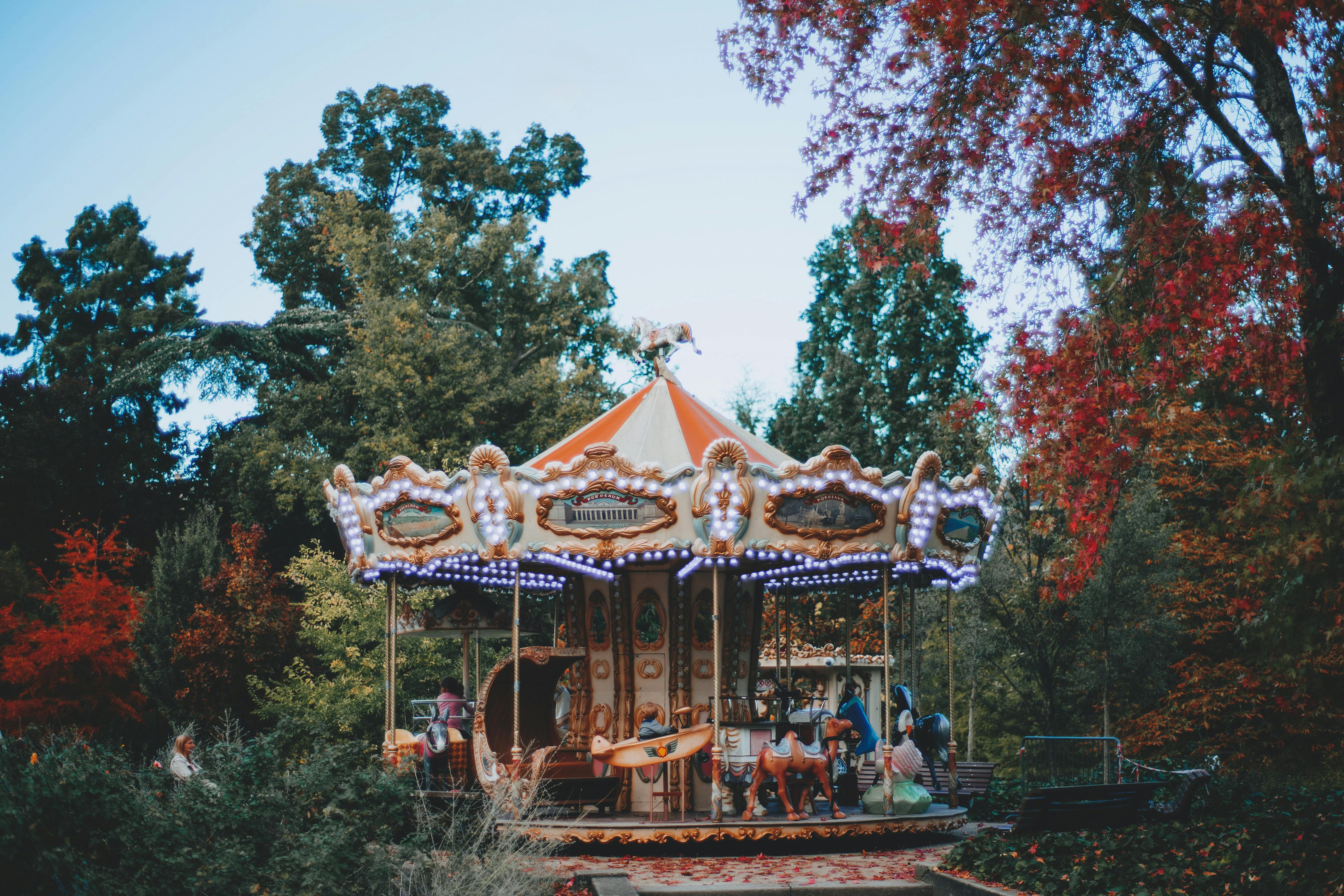 carousel surrounded with green trees