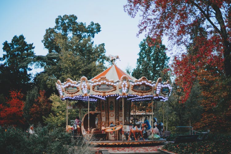 Carousel Surrounded With Green Trees