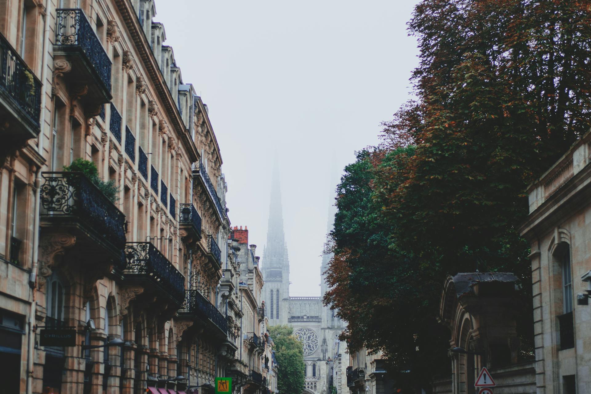 Old street with residential buildings with balconies and tree located in city with medieval cathedral with spires in distance on foggy day