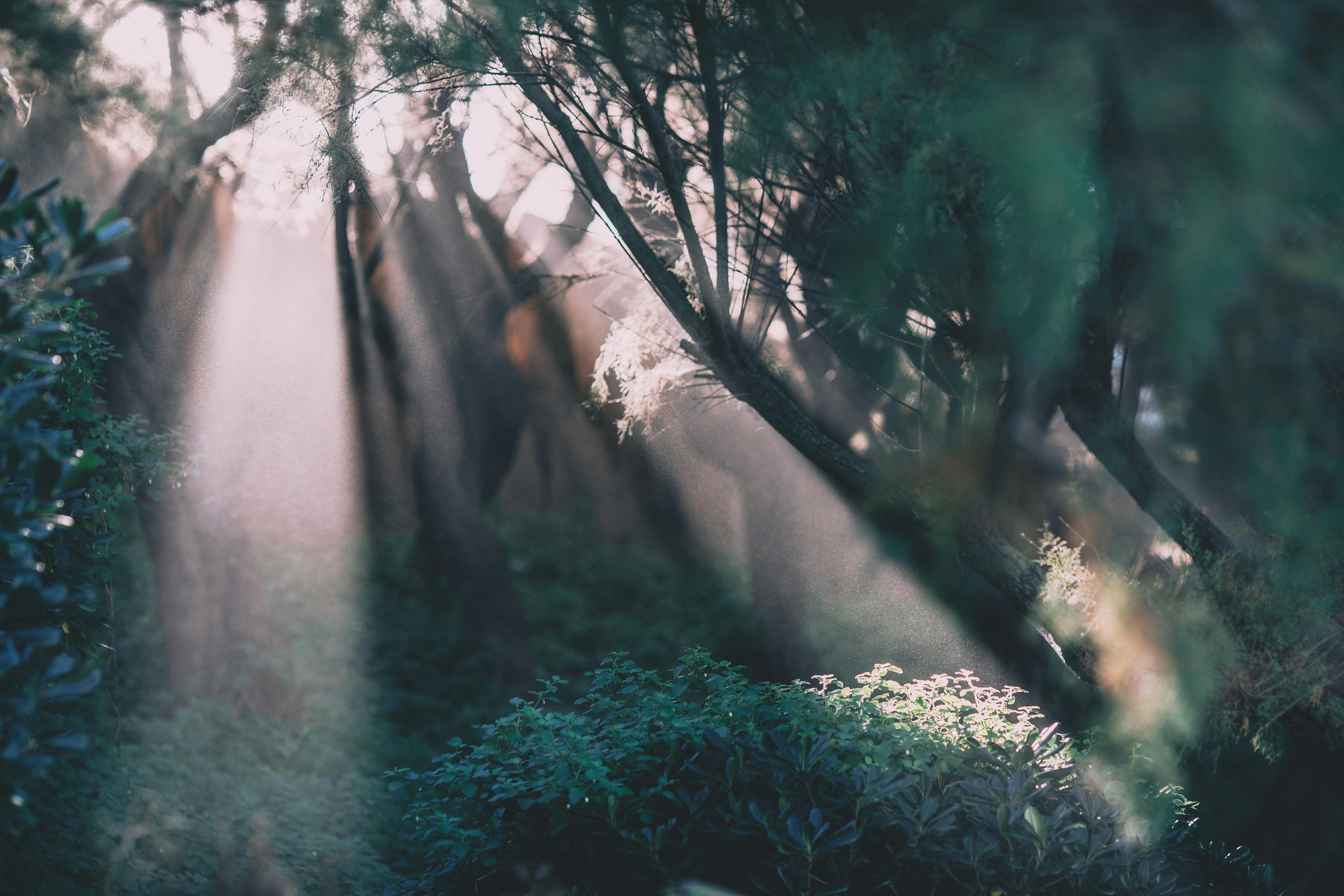 Which vegetable is good for high blood pressure?