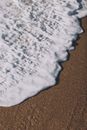 Foamy sea on sandy beach in daytime