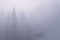 冬日景象宁静，森林薄雾缭绕，小屋笼罩在雪与雾中