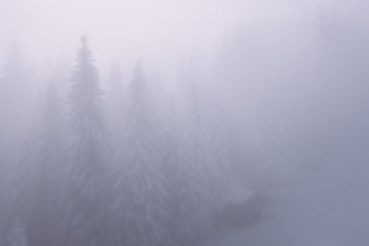 冬日景象宁静，森林薄雾缭绕，小屋笼罩在雪与雾中
