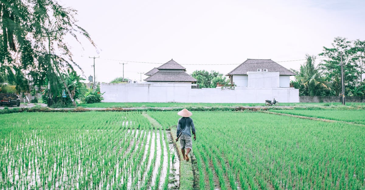 Máy nông nghiệp