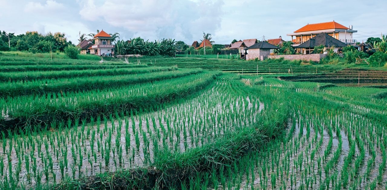 Seminyak