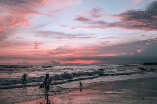 Silhouettes of travelers with surfboards spending summer vacation on wet sandy beach with dog near waving ocean at sundown