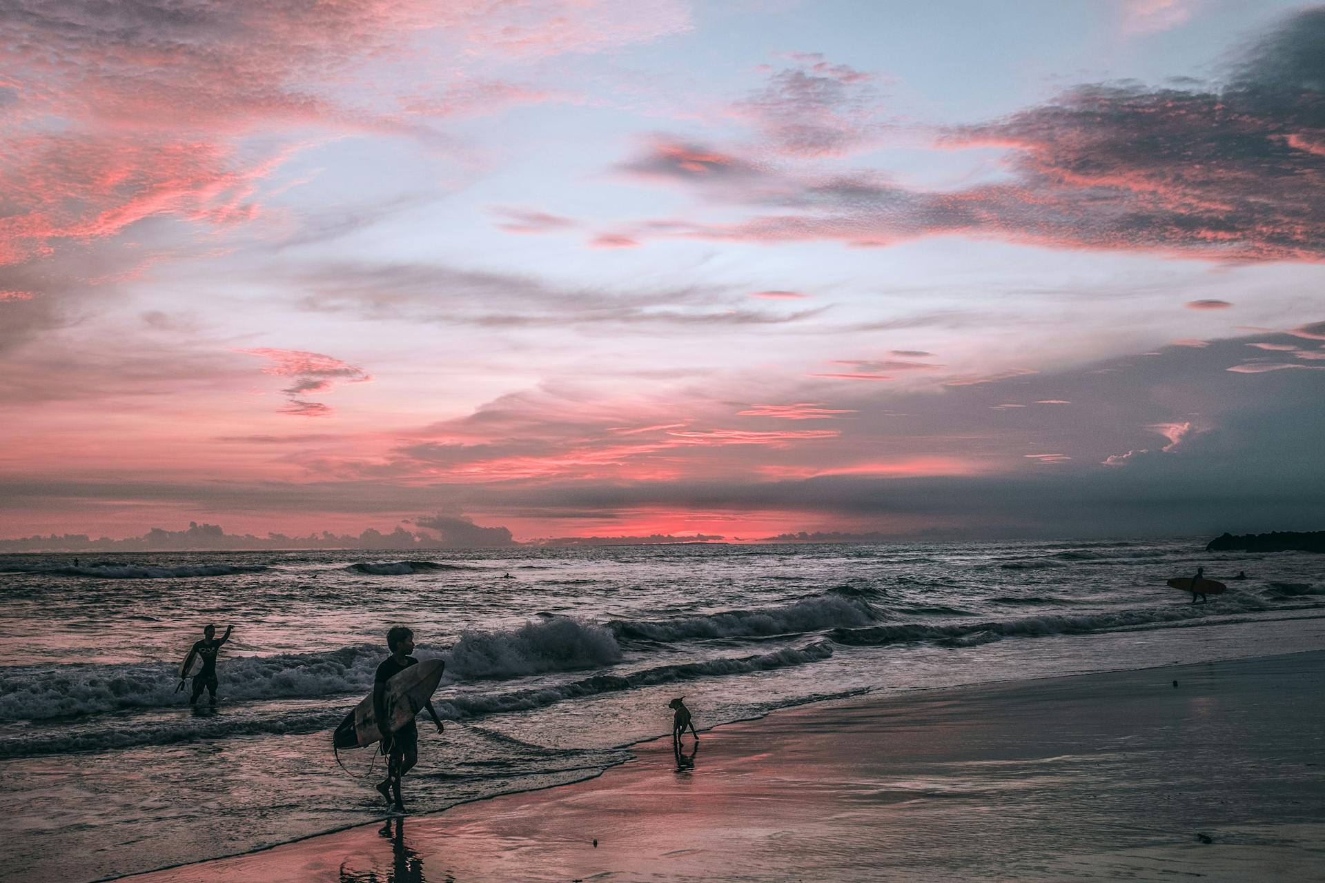 Silhouettes of travelers with surfboards spending summer vacation on wet sandy beach with dog near waving ocean at sundown