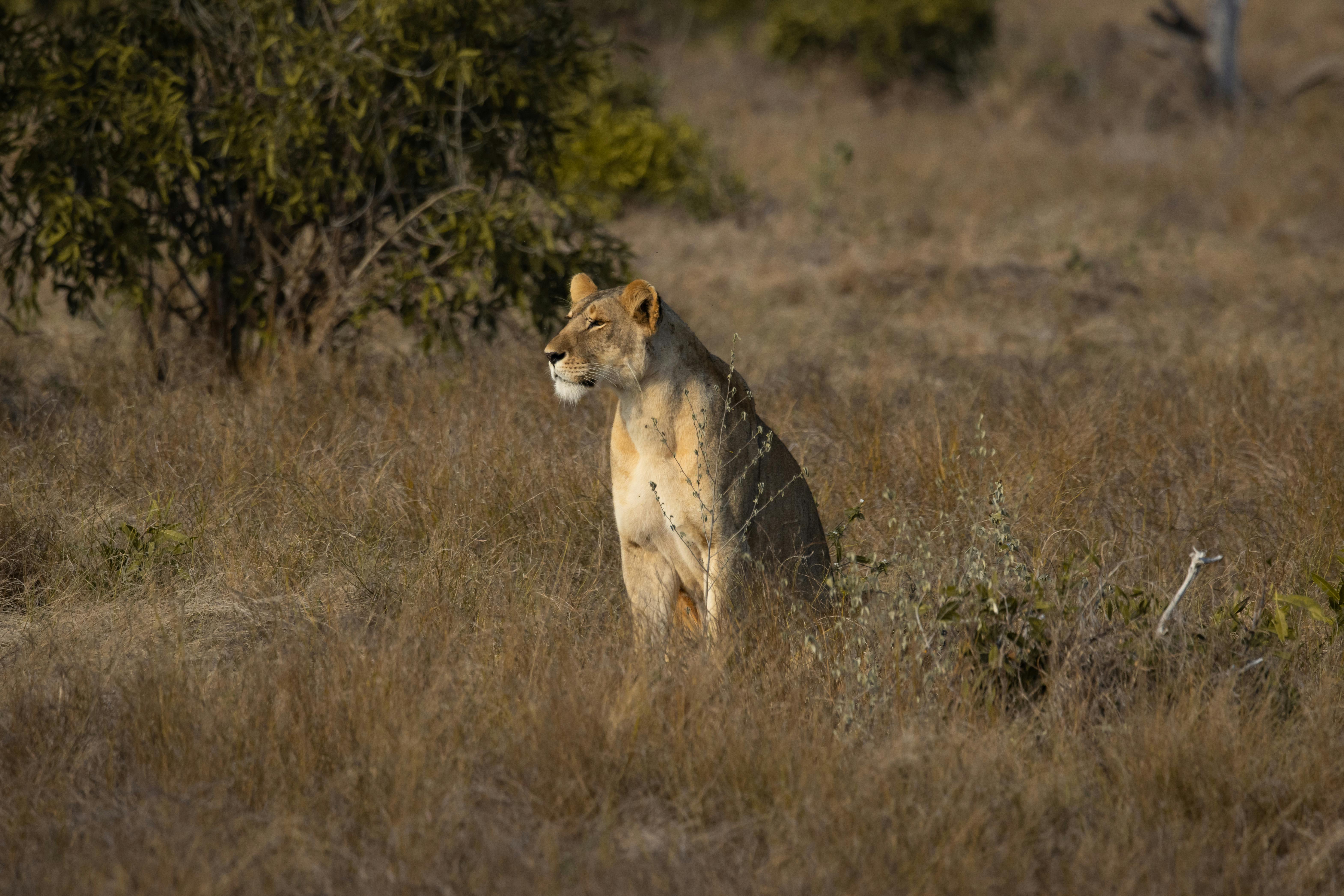 Landmarks in Tsavo National Park West