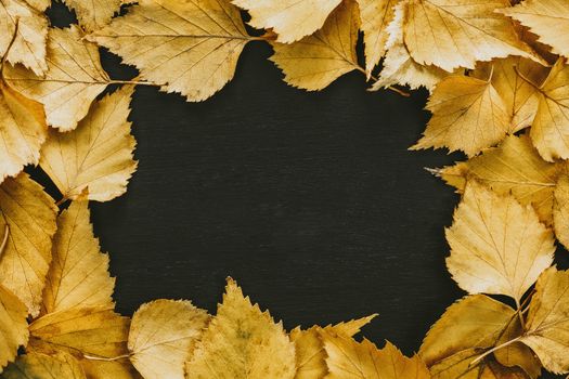 Golden brown autumn leaves forming a natural border on dark background.