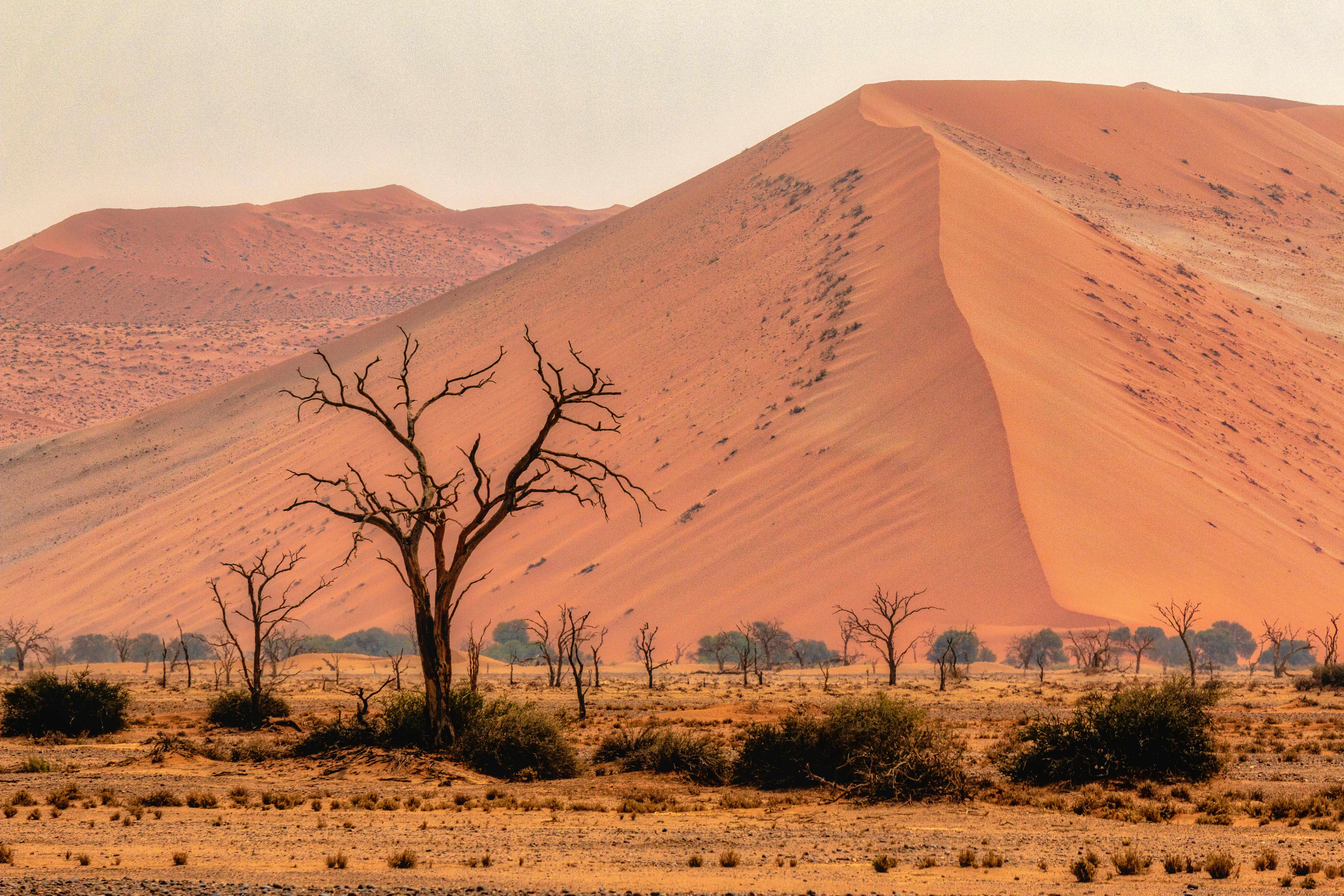 Chụp ảnh Phong Cảnh Sa Mạc Cát · Ảnh có sẵn miễn phí