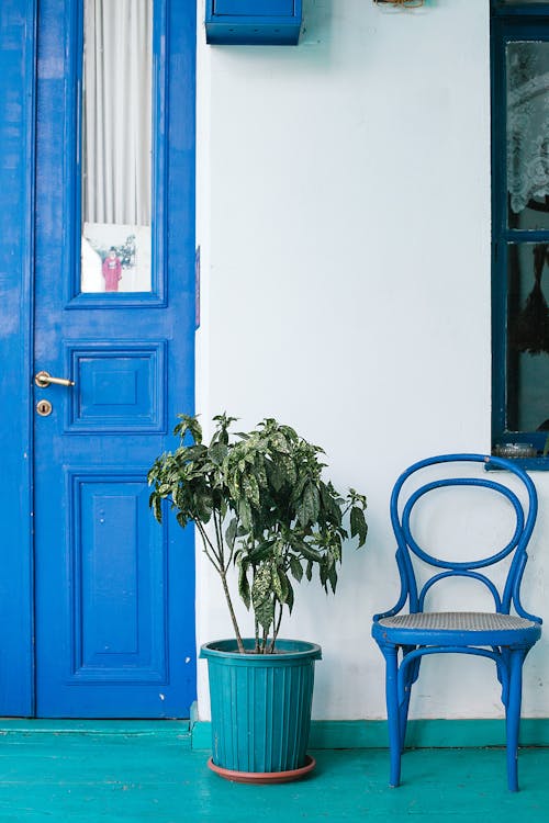 Potted plant near doorway and chair