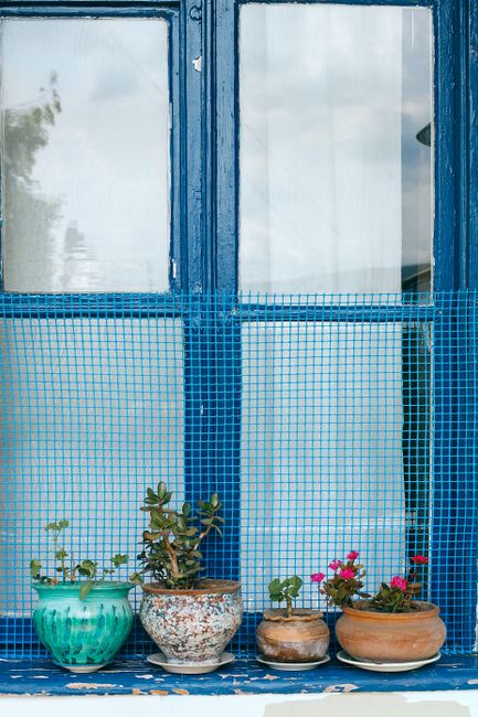 Wooden window of rustic building with different plants growing in pots on windowsill