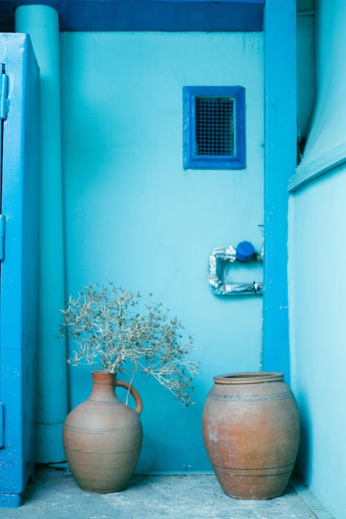 Earthenware jugs with dried plant branch