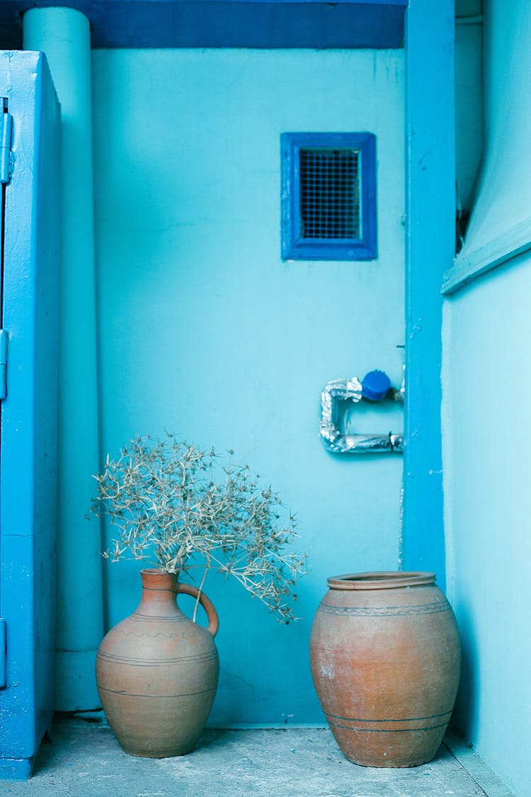 Earthenware Jugs With Dried Plant Branch