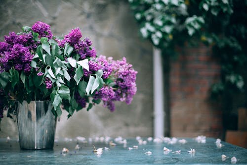 Blooming flowers in metal bucket