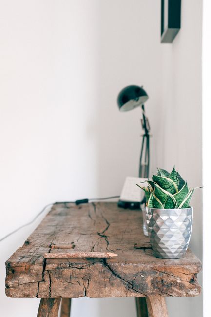 Black table lamp placed on shabby wooden counter with potted green plant against white wall in light room of apartment