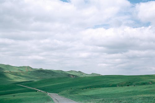 Scenery view of wavy road between bright hills with grazing cattle under sky with clouds on farmland