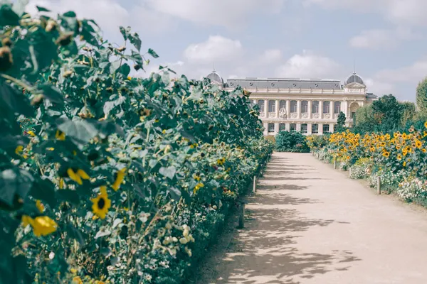 Jardin des plantes
