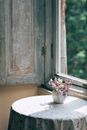 Blooming flowers in vase on table at home