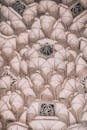 Abstract background of symmetrical ornament on architectural element