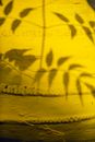 Shadow of leaves on yellow wall in daytime