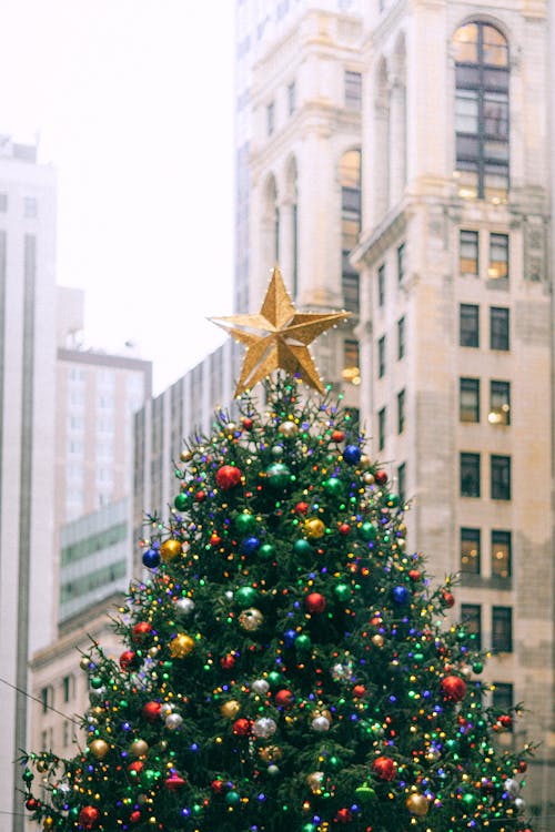 Decorated Christmas tree against urban multistage building facades