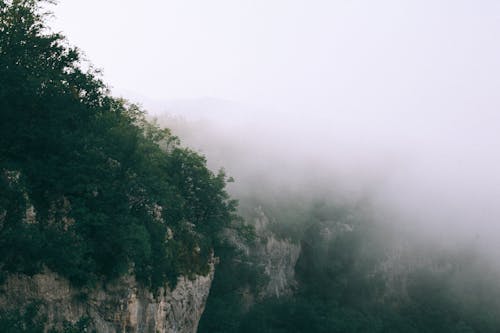 Breathtaking scenery of rough rocky mountains covered with green trees hidden under thick foggy sky