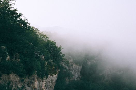 绿树覆盖着崎岖的岩石山脉，在浓雾的天空下若隐若现，景色令人惊叹