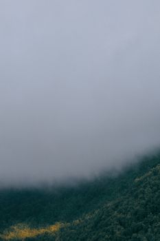 山脉上空浓雾密布，绿树成荫，风景如画