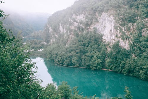 河流流经山区多山的绿色森林