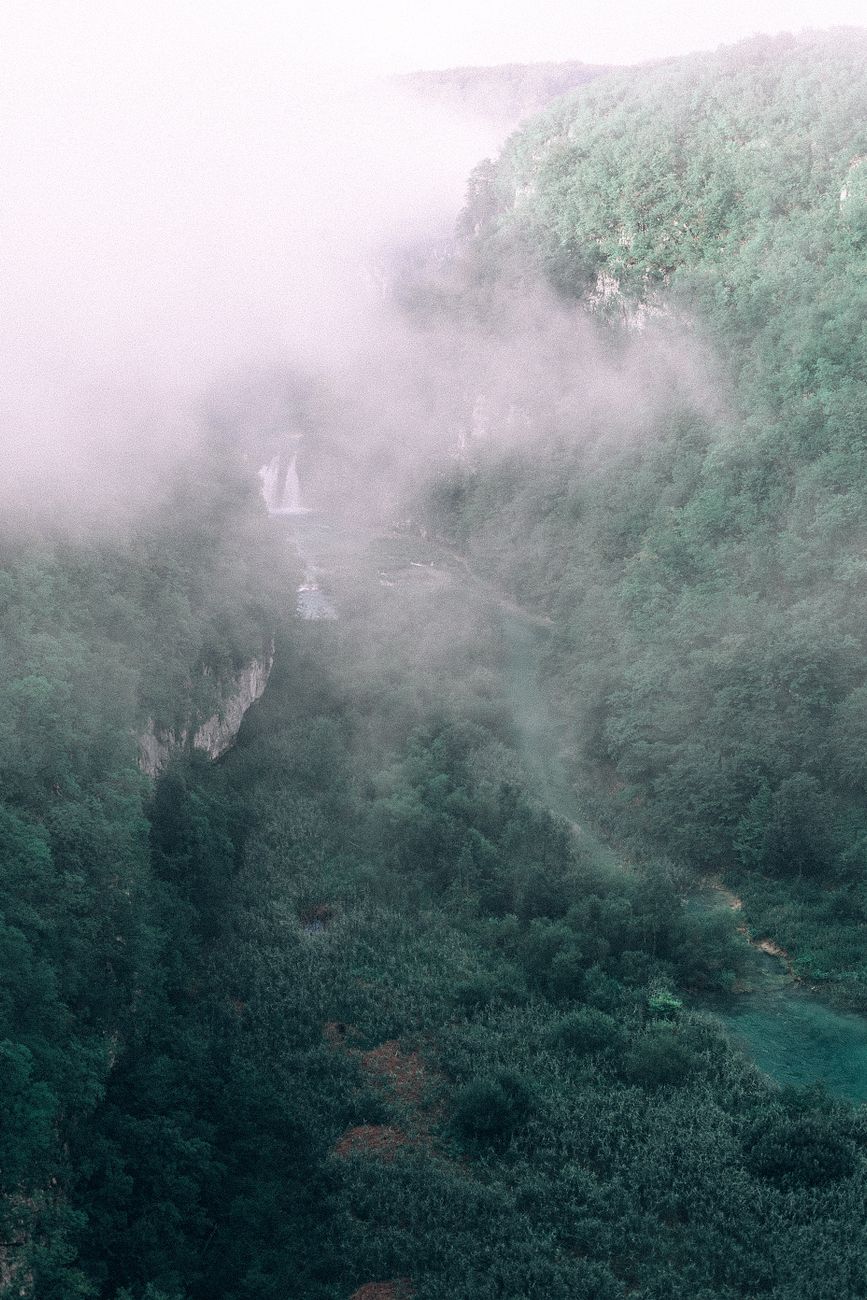 Misty cloud forest in a tropical mountain — the highland environment surrounding Volcán Barú.