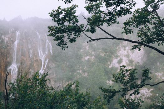 雾天下，绿树成荫的崎岖高山上，瀑布如泡沫般快速奔流，景色壮丽