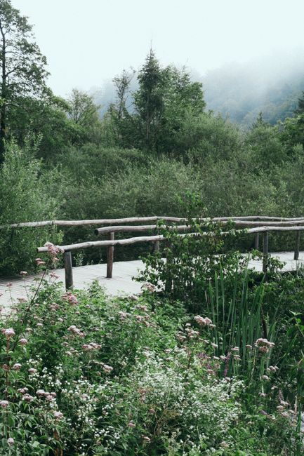 Narrow wooden bridge over ravine in lush verdant valley on summer sunny day