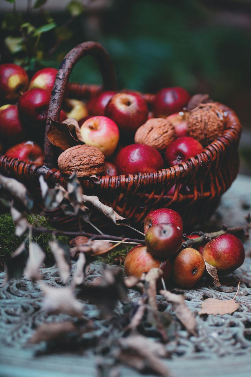 Harvest Apple and Walnut Salad