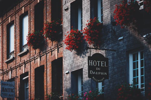 Facade of modern masonry building decorated with red flowers