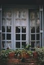 Rural cottage window decorated with potted houseplants