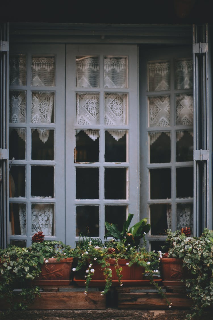 Rural Cottage Window Decorated With Potted Houseplants