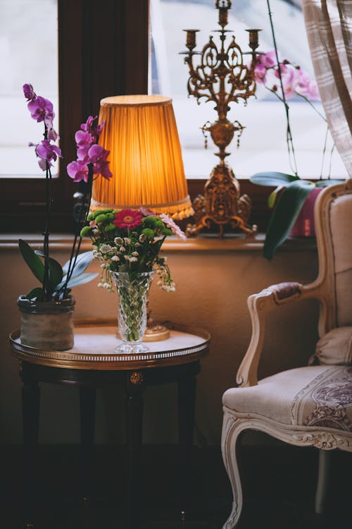 Free Room interior with plants and lamp on table Stock Photo