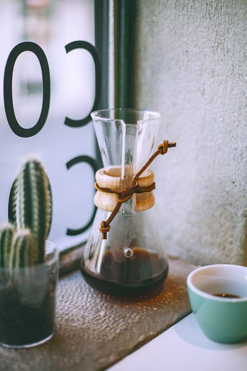 Drip coffee maker near cactus on windowsill