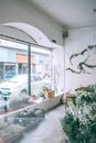 花店内部明亮，大窗户上倒映着植物