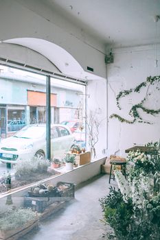 花店内部明亮，大窗户上倒映着植物