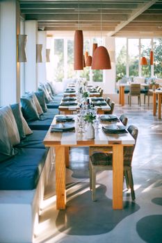Cafe interior with served wooden tables decorated with plants in vases near soft benches in sunlight