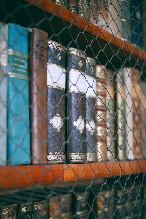 Assorted books with illustrations on covers on wooden bookshelves behind fence in museum library